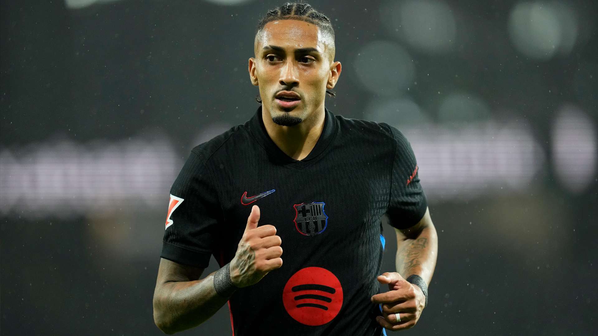 草坪状态等 草坪状态等